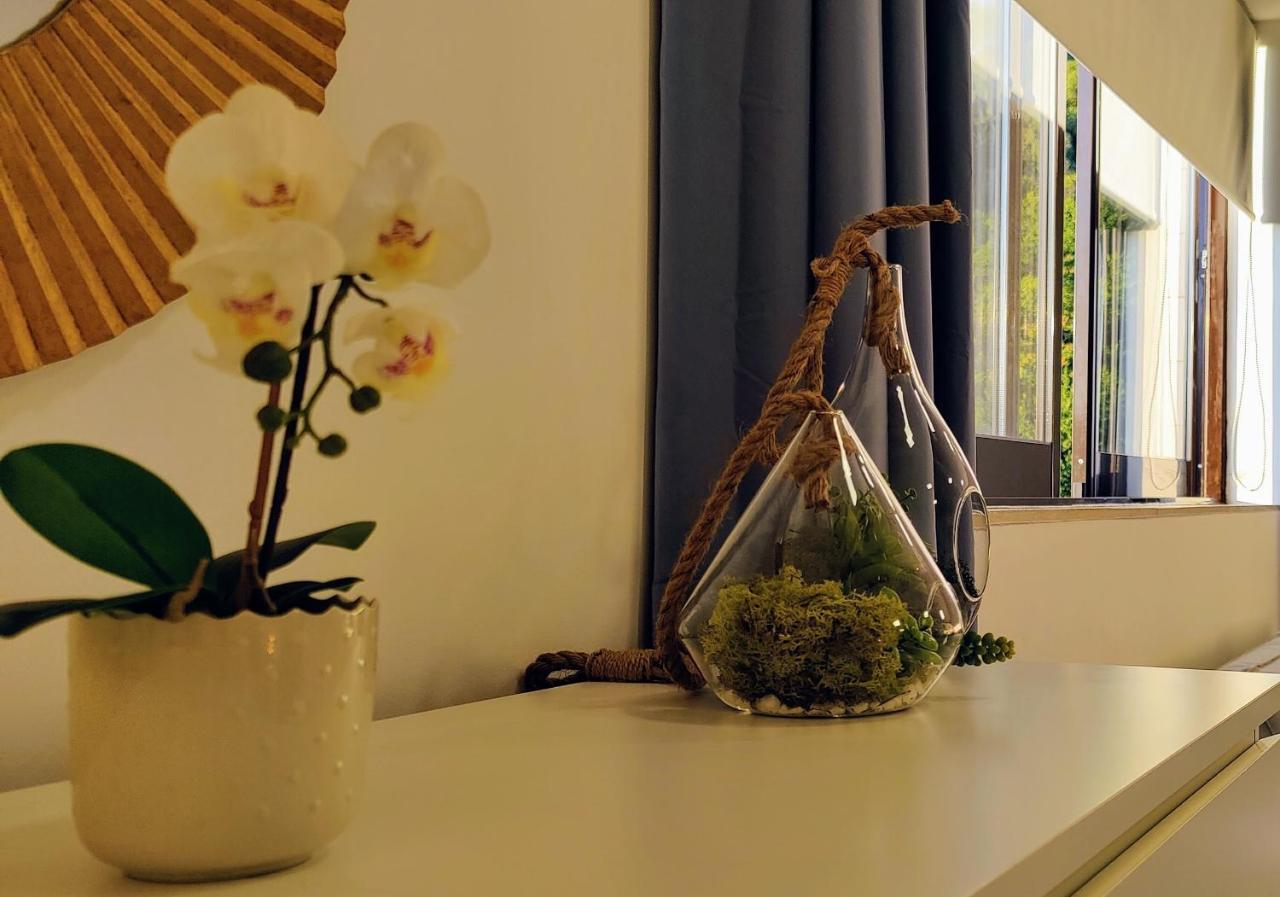 Stylish And Elegant Studio - Best View And Location In Coimbra Downton 外观 照片